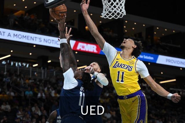 UED公司简介图片